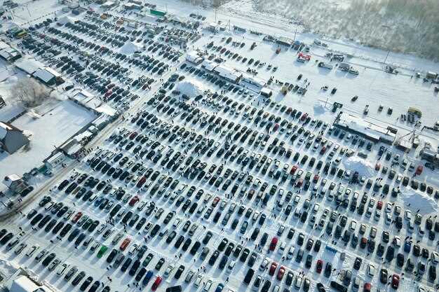 Building a Long-Term Japanese Car Collection